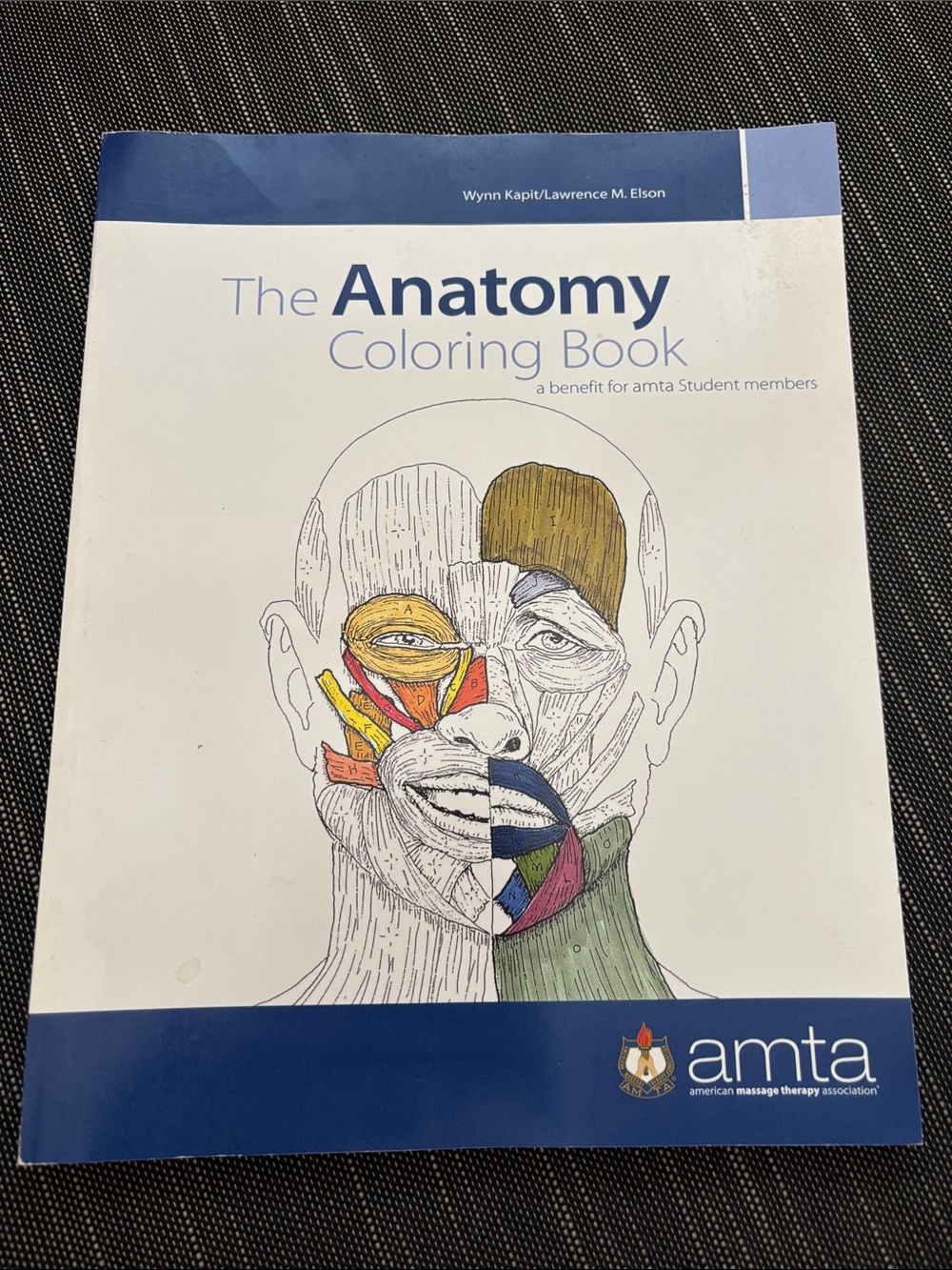 Pearson Anatomy Coloring Book - White with Blue and Multicolor Accents
